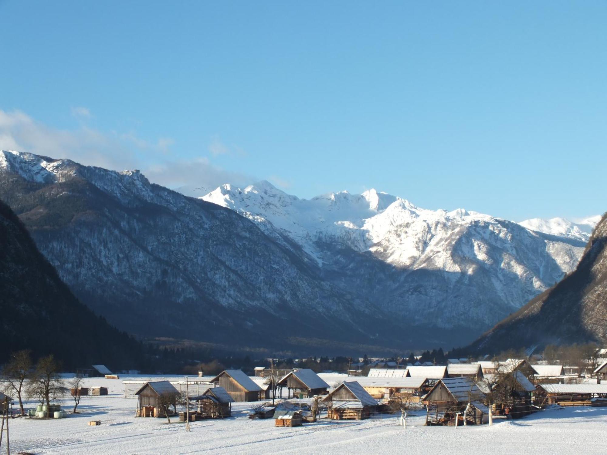 Apartment Tina Bohinji-tó Szoba fotó