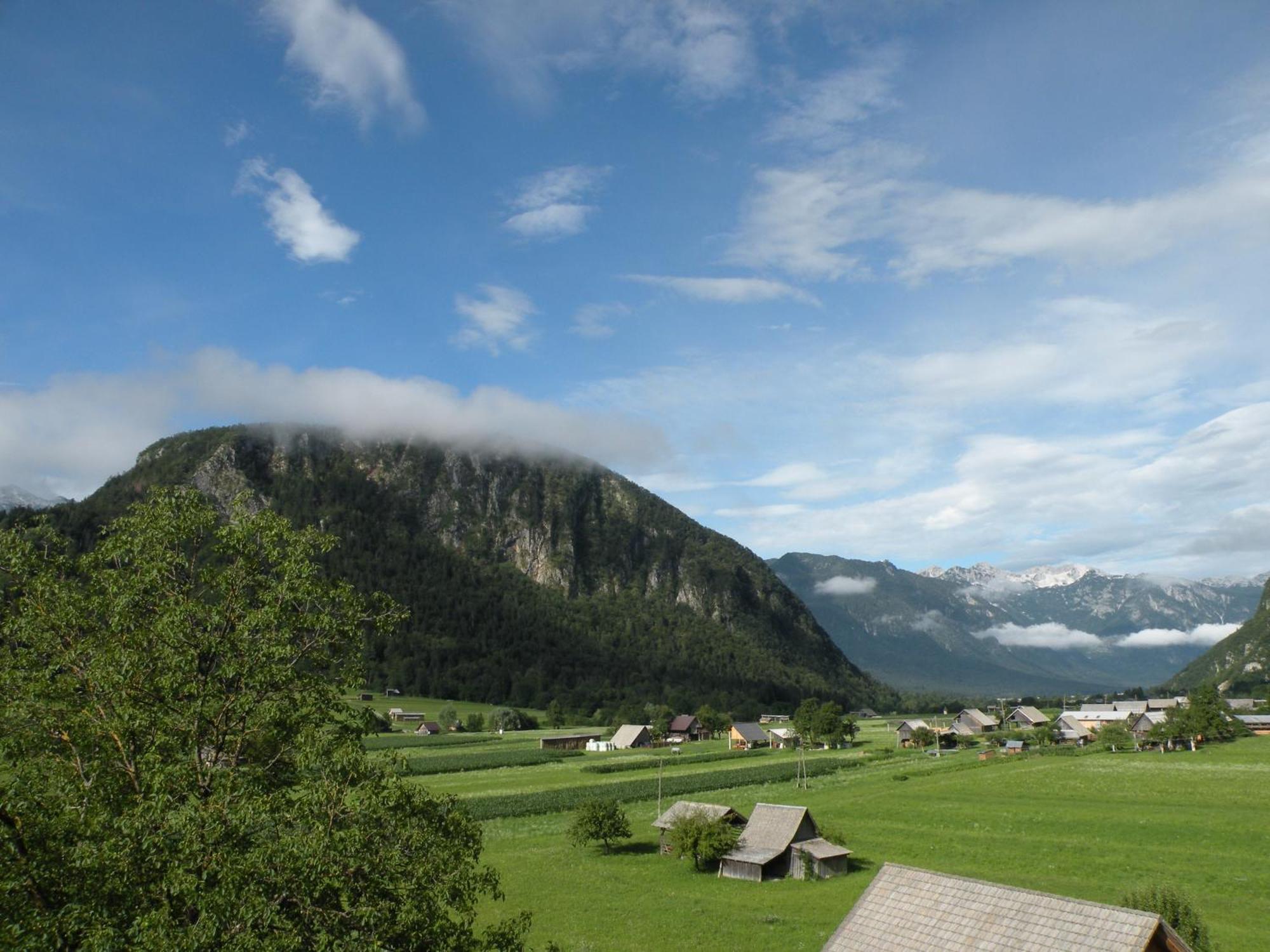 Apartment Tina Bohinji-tó Szoba fotó